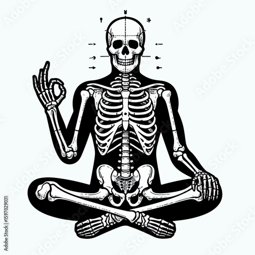 human skeleton vector illustration