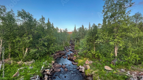  A small rocky creek flows through dense northern forest under a clear evening sky — serene wilderness near the White Sea in Russian Karelia or Murmansk region.