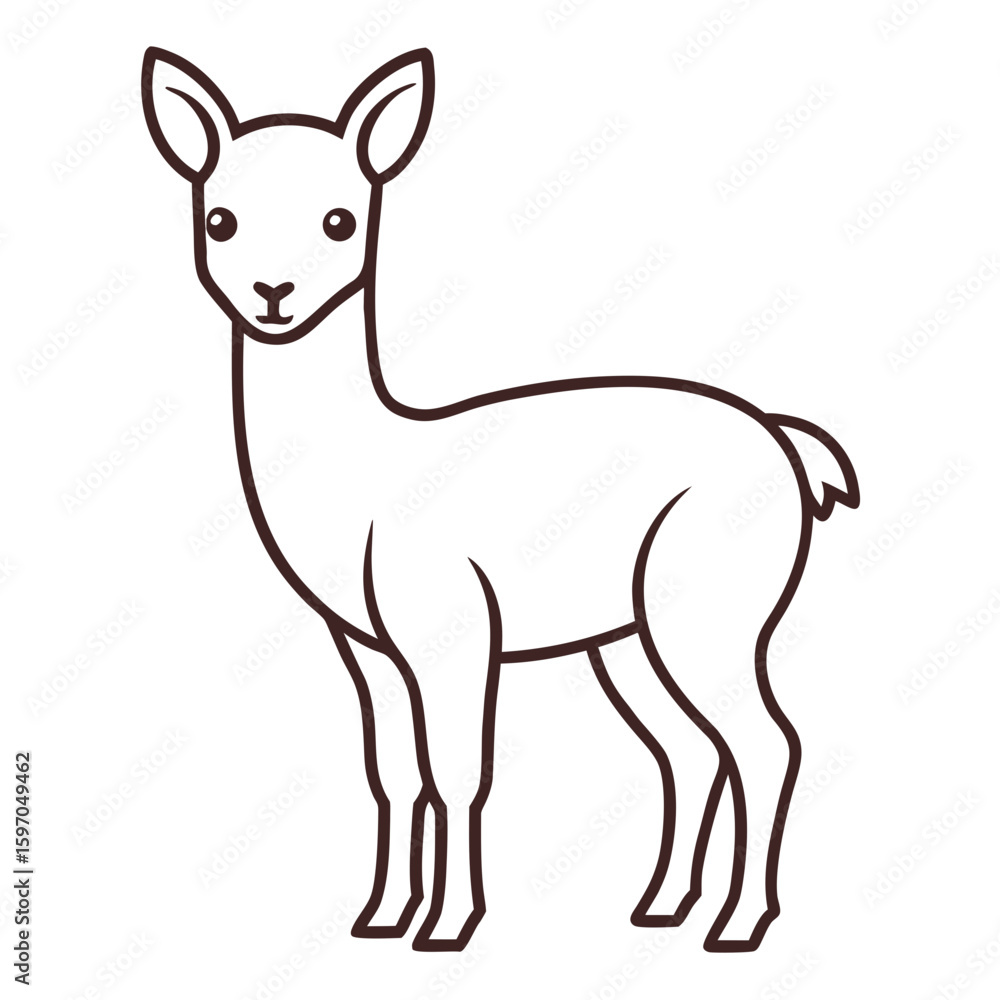 Obraz premium Vicuna on white background