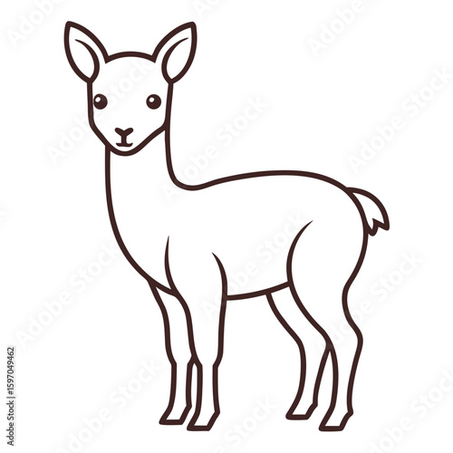 Vicuna on white background