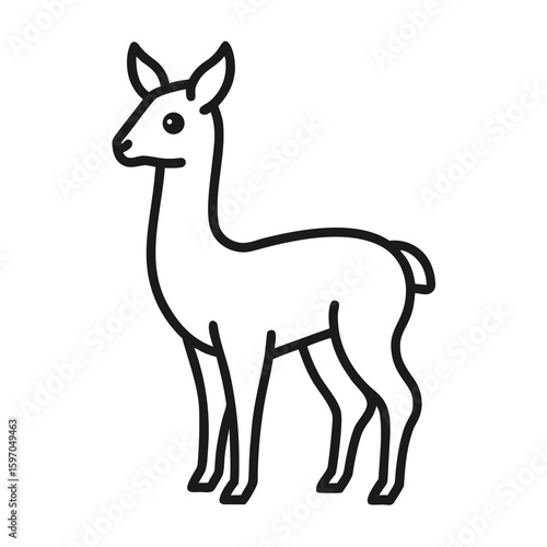 Vicuna on white background