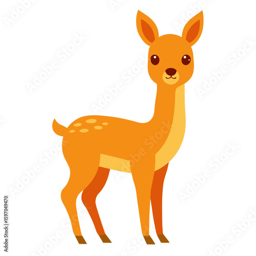 Vicuna on white background