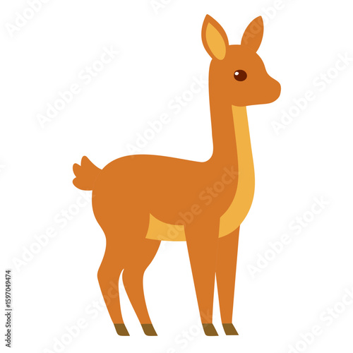 Vicuna on white background