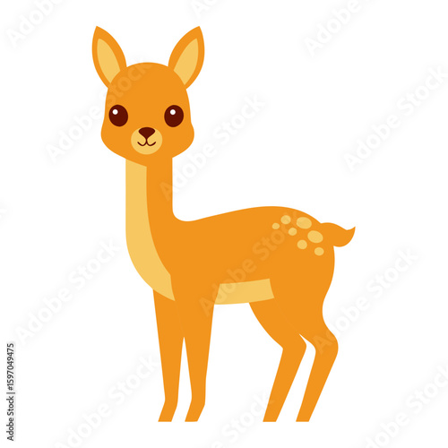 Vicuna on white background