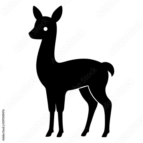 Vicuna on white background