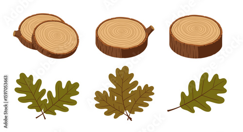 Illustration of tree stumps with visible growth rings and oak leaves in varying shades of green color