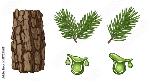 Illustration showing a piece of bark two pine branches and two drops of resin on a white background
