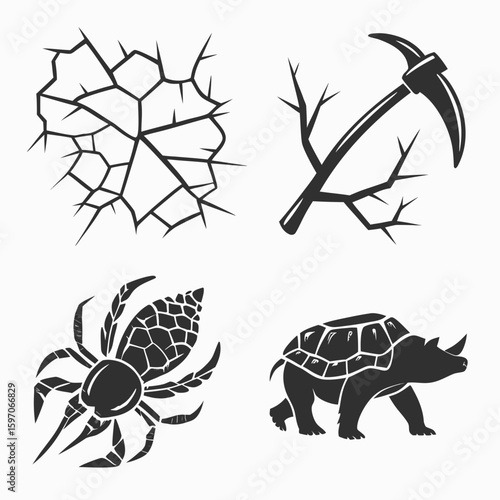 Cracked surface spider pickaxe tortoise arachnid