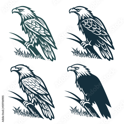 Majestic eagle perched on grass detailed illustration