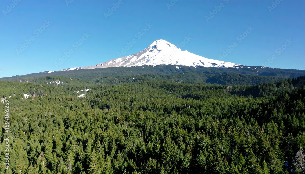 Fototapeta premium Mountain peak, lush forest, clear sky