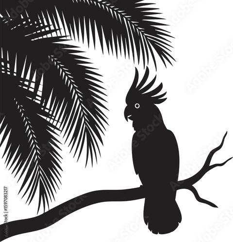 Silhouette of a cockatoo perched on a branch beneath palm fronds