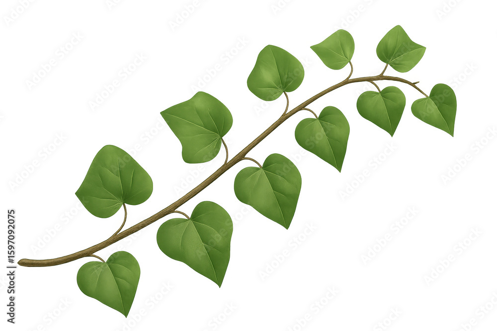 Obraz premium Realistic illustration of a branch with vibrant green leaves, isolated on a transparent background, perfect for nature-themed designs