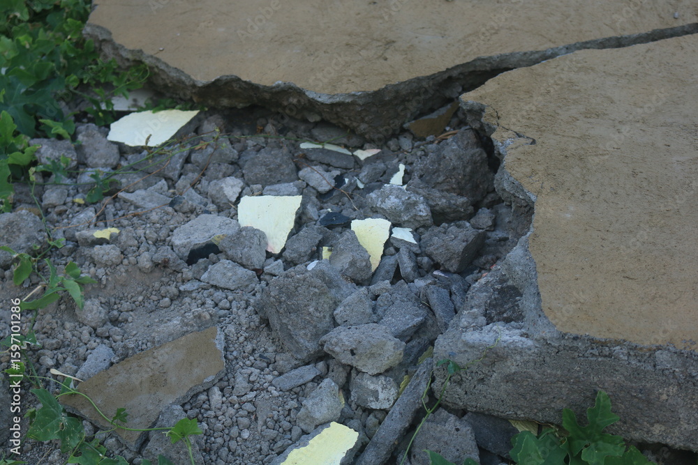 Obraz premium Fragments of concrete walls that were torn down at the site began to be covered by plants. the wall of the house collapsed