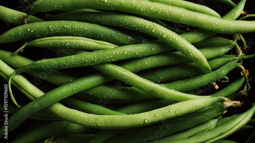 Fresh Green Beans: A Vibrant Harvest