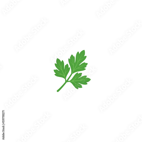 Simple graphic illustration of a parsley leaf against a white background.