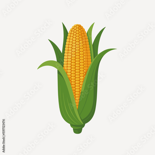 Golden Corn Cob Illustration Fresh Harvest Produce, Healthy Eating and Natural Food Concepts