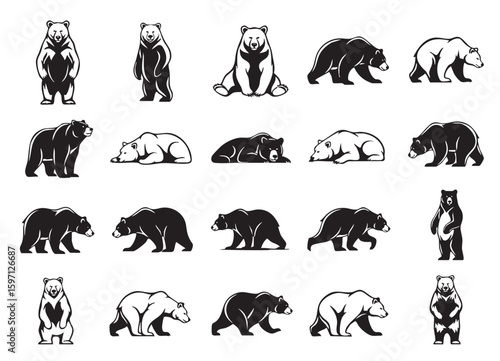 Robust bear vector illustrations in various poses: standing, walking, and resting, ideal for nature and wildlife themes.