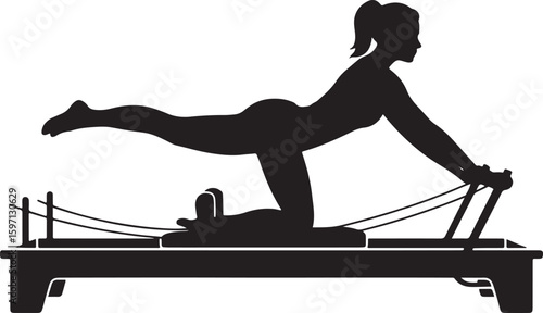 Pilates Reformer Silhouette Intense Workout Focus Core Strength and Flexibility Body Sculpting Fitness Wellness Exercise Health Lifestyle