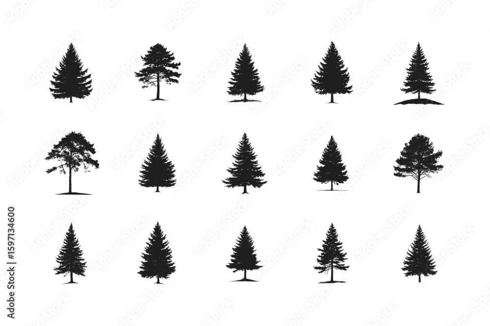 Obraz premium Collection of Pine Tree Silhouettes Isolated on White