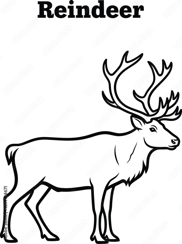 Obraz premium A majestic reindeer illustration showcases its impressive antlers and elegant form, perfect for winter holiday designs, educational materials, and wildlife-themed projects.