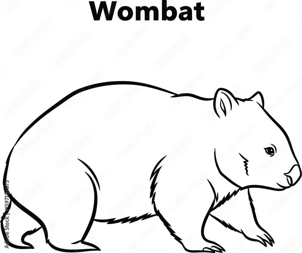 Obraz premium A charming wombat illustration showcases the adorable marsupial in a simple black and white line drawing, perfect for educational materials, coloring books, or wildlife-themed designs.