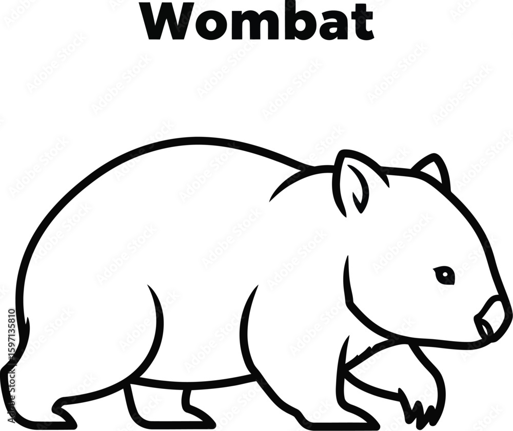 Obraz premium A charming wombat illustration showcases the adorable Australian marsupial with bold outlines, perfect for educational materials, coloring books, or wildlife-themed designs.