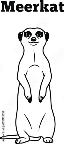 A charming meerkat illustration stands upright, showcasing its distinctive posture and curious expression, perfect for educational materials or wildlife-themed designs.