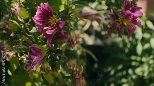 Wallpaper Mural Close up diverse flowers soft focus Torontodigital.ca
