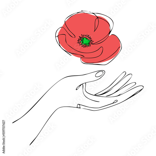 Single flower drawing, Poppy flower delicately held in hand, symbolic and floral design