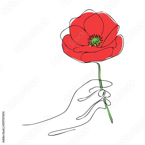Single flower drawing, Hand delicately holding a single red poppy flower blossom artwork