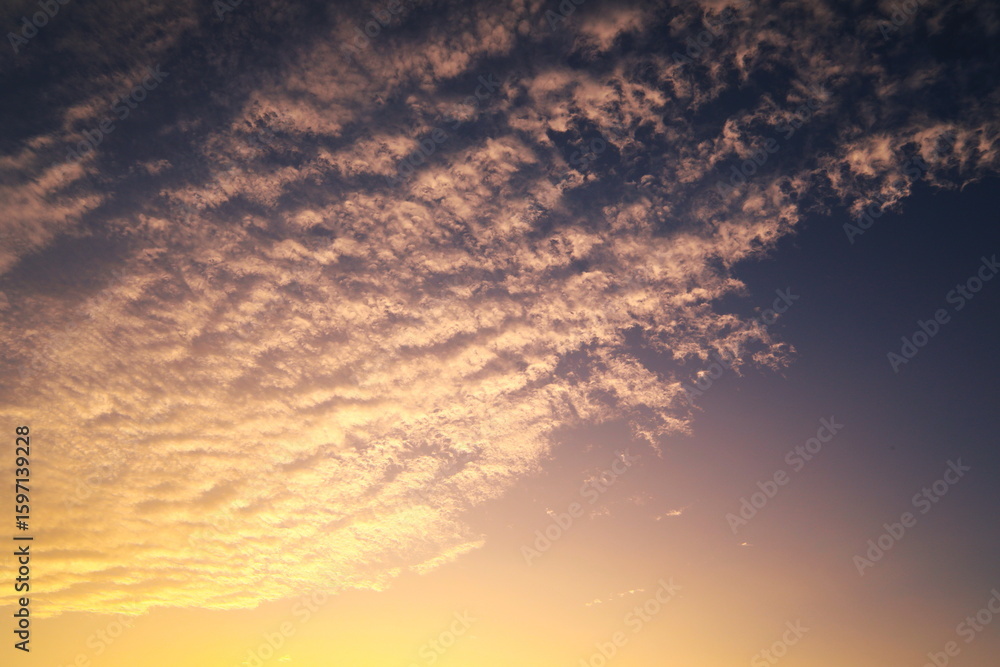 Obraz premium 美しい夕焼け雲