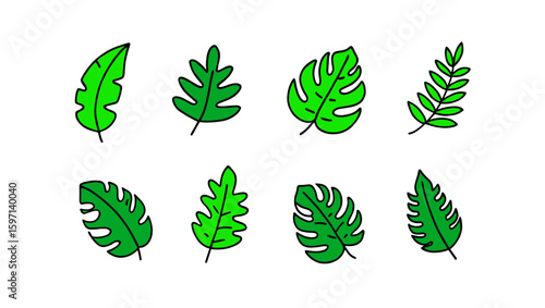 Collection of eight vibrant green tropical leaves with various shapes and sizes displayed together nicely