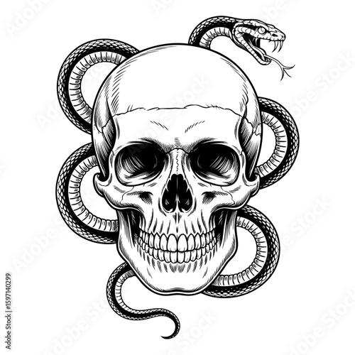 drawing of the skull, flowers with skulls tattoos, cartoon skull with roses and Snake, drawings of a snake	