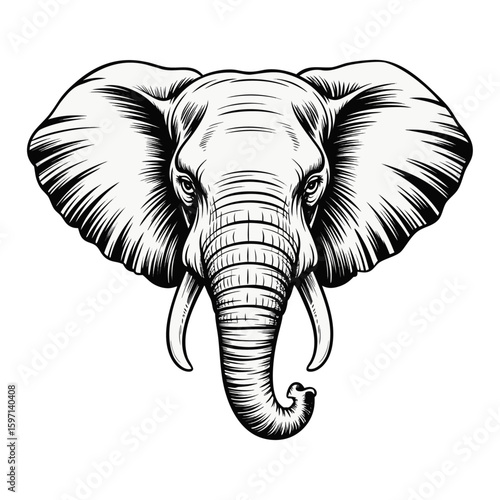 Drawing of elephant head , engraved style elephant head art, engraving elephant head  black and white	