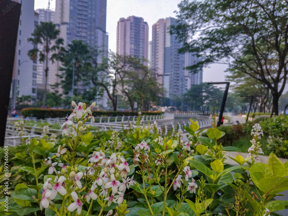 Fototapeta premium View of Jakarta's public park in the morning with a clean river and modern buildings in the background