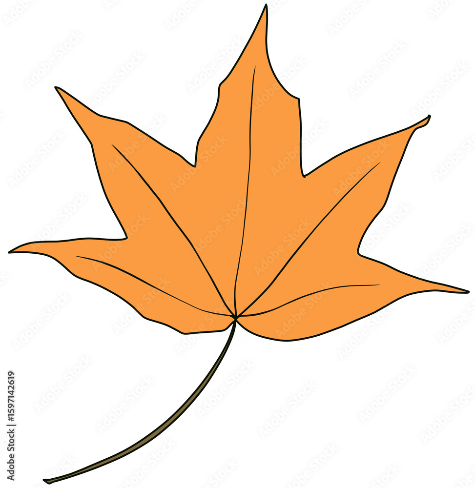 Obraz premium 단풍잎