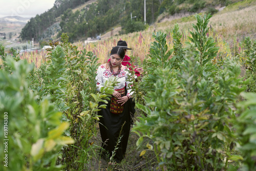 Farmers walking through crops of broad beans and quinoa in ecuadorian andes