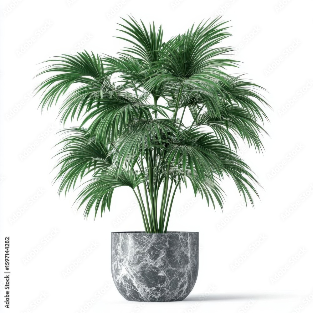 Obraz premium Elegant palm plant in a marble pot.
