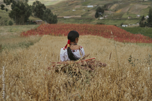 Indigenous farmer carrying harvested wheat in ecuadorian andes mountains
