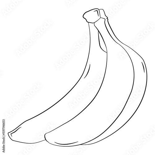 Two fresh bananas are depicted, creating a simple yet appealing visual. Their curved shape and smooth peel suggest a healthy snack