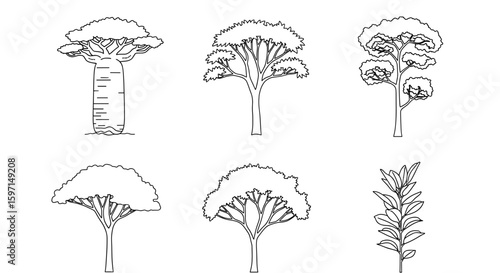 Outlined botanical illustration featuring various tree and plant species in a botanical study sheet