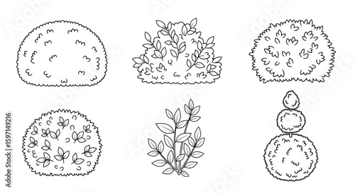 Illustration featuring six different stylized bushes and shrubs with varying shapes and leaf patterns