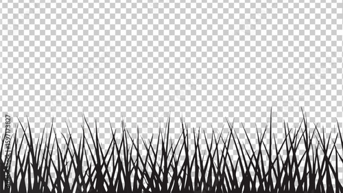 Vector  silhouette of grass blades against a transparent background creating a natural border effect design
