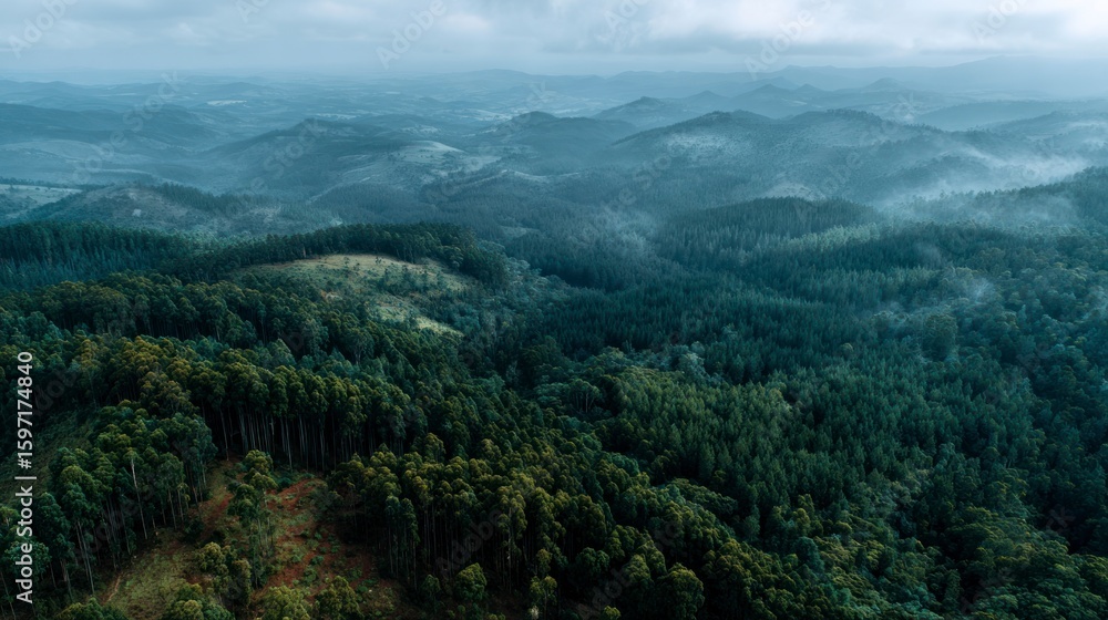 Misty mountain landscape aerial view