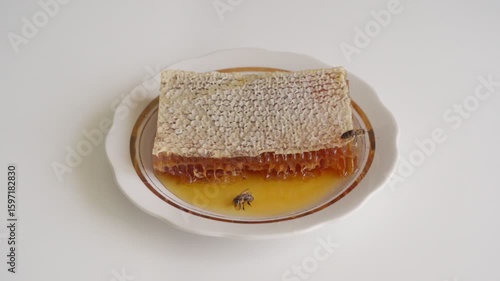 Close-up of bees on honeycombs with honey on a plate.