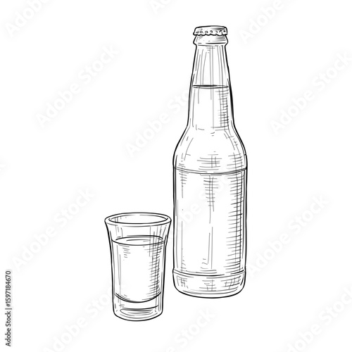 beer bottle and glass vector hand drawn illustration