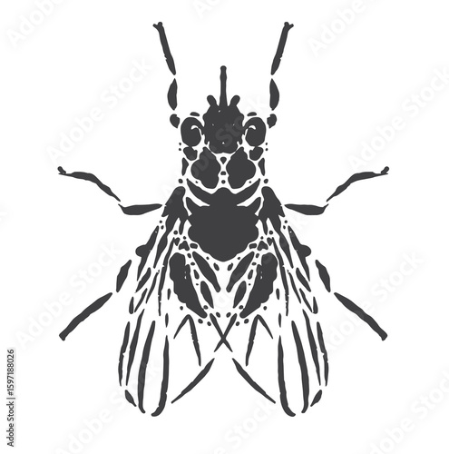 dirty fly silhouette illustration