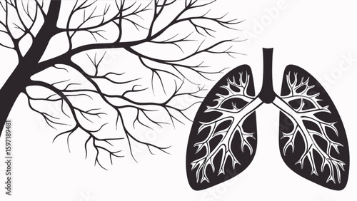 Explore human lungs anatomy and tree branches illustration for medical and biological concepts design use