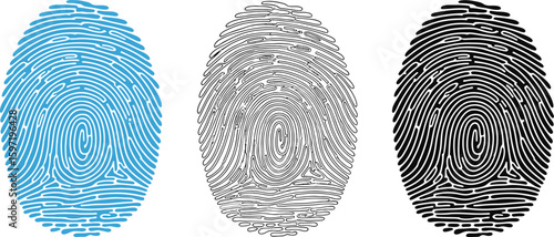 Fingerprint identification security biometric scan thumbprint identity access control unique pattern vector art