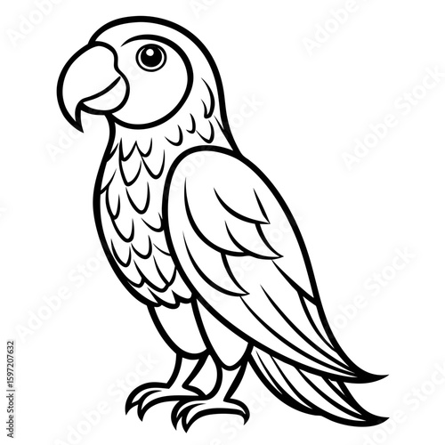 Parrot on white background